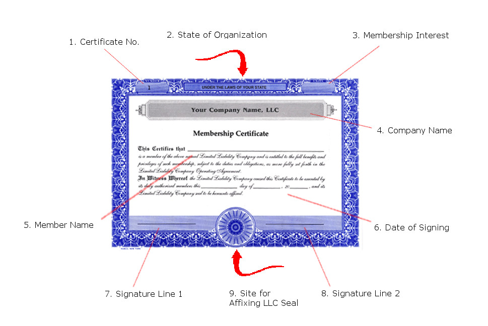 How To Fill Out an LLC Membership Certificate, Example